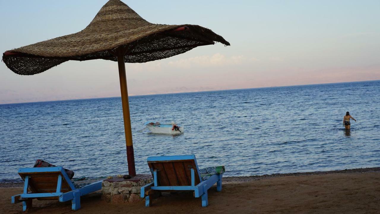 Sea Horse Ξενοδοχείο Nuweiba` Εξωτερικό φωτογραφία